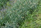 Glenormiston Southorganic-gardening-15.jpg; ?>