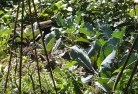 Glenormiston Southorganic-gardening-3.jpg; ?>